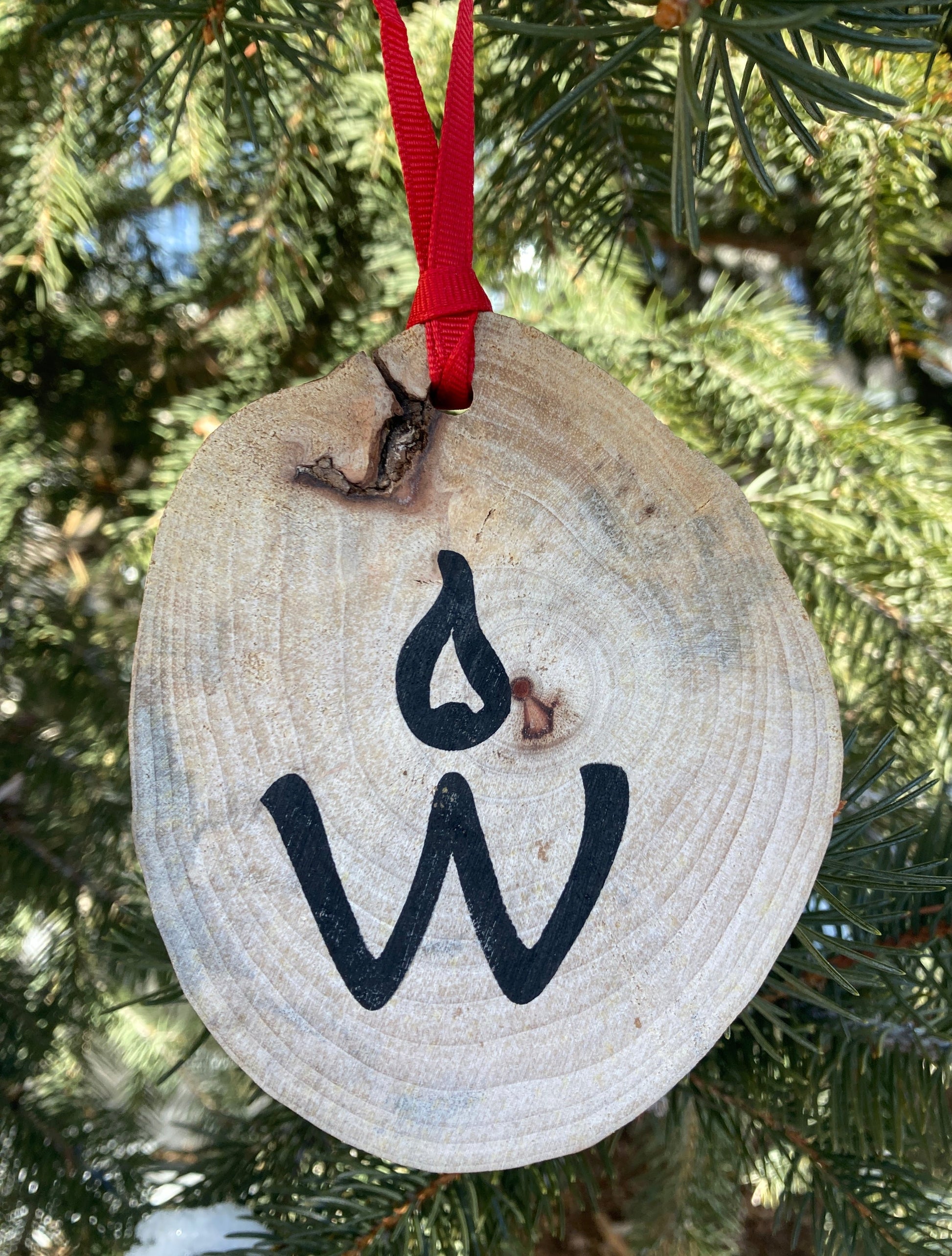 <img src="wish-a-ment-capture-a-moment-in-time-create-holiday-keepsake-forever_jpg”  alt="capture a precious moment in time and preserve a memory and tradition - wish-a-ment - forever preserving a personal wish"/>
